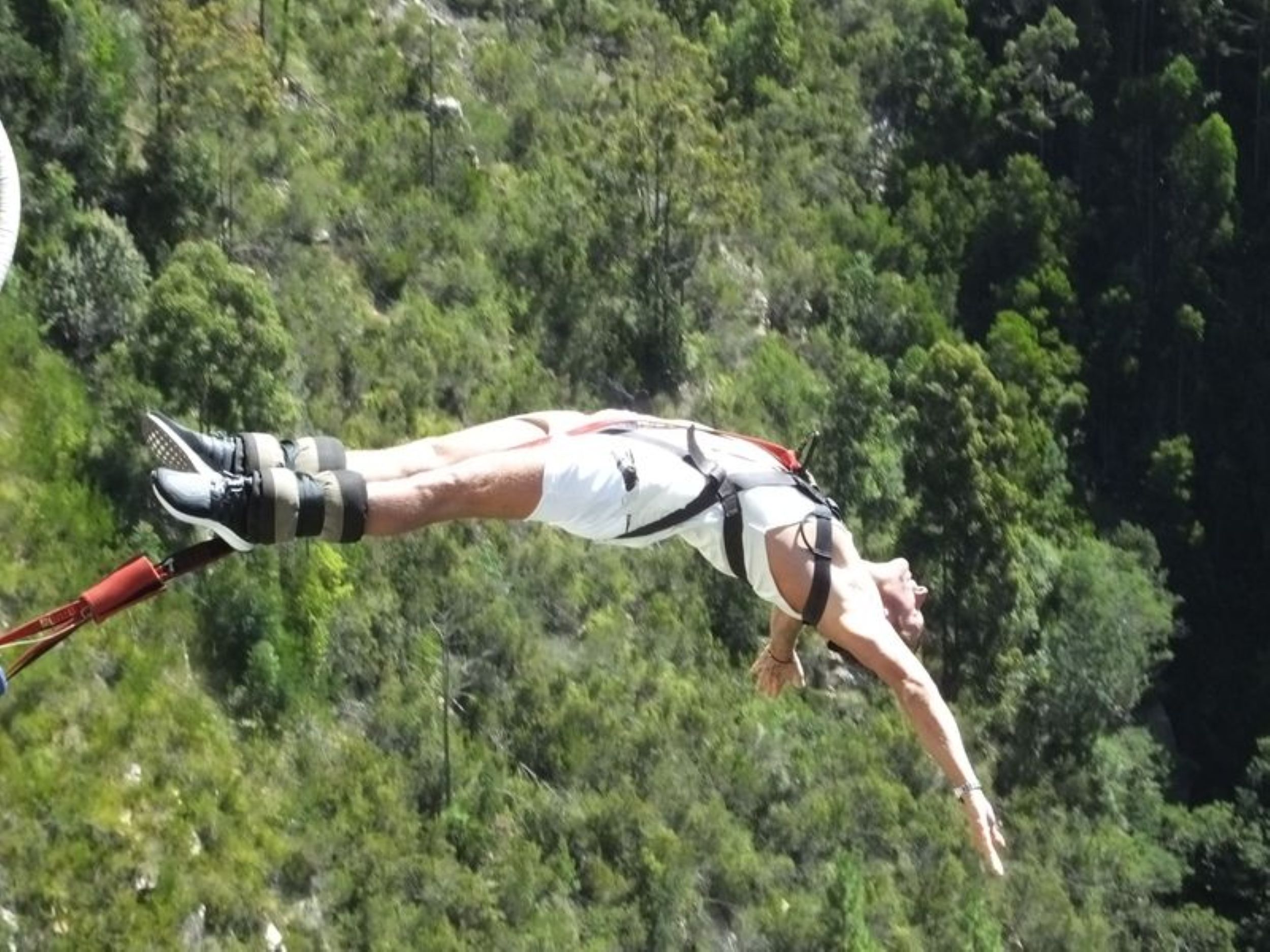 Опыт банджи, Zipline и Skywalk в Западно-Капской провинции