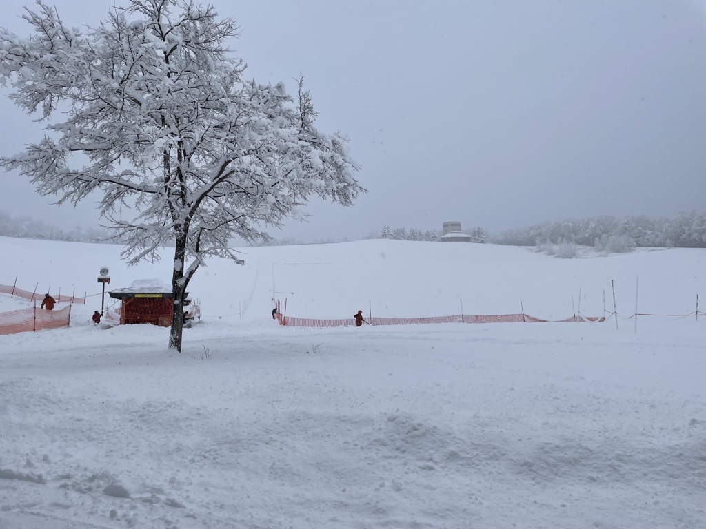 北海道札幌初學者滑雪＆玩雪私人遊