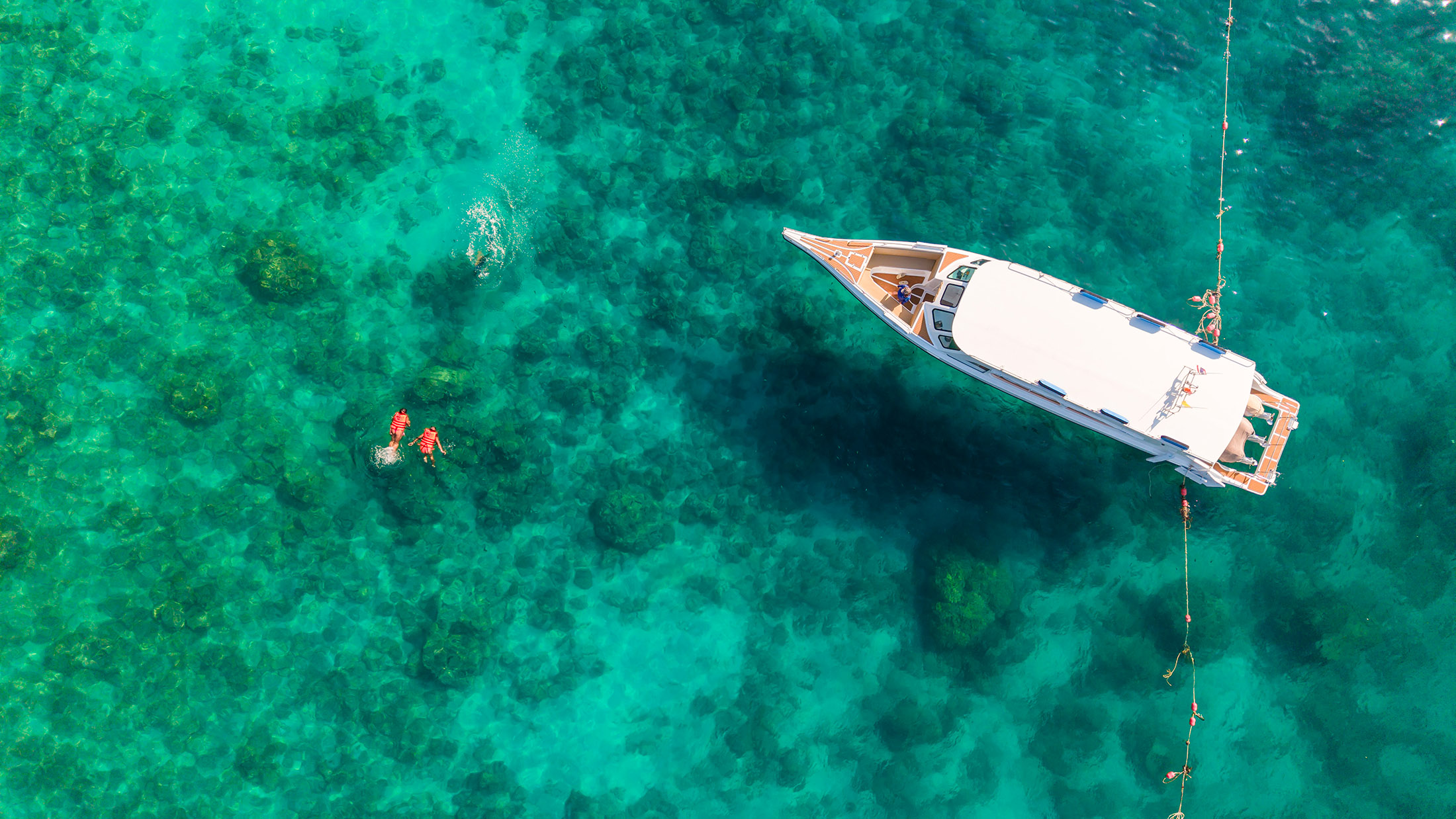 在清澈見底的水中浮潛，探索五顏六色的熱帶魚。