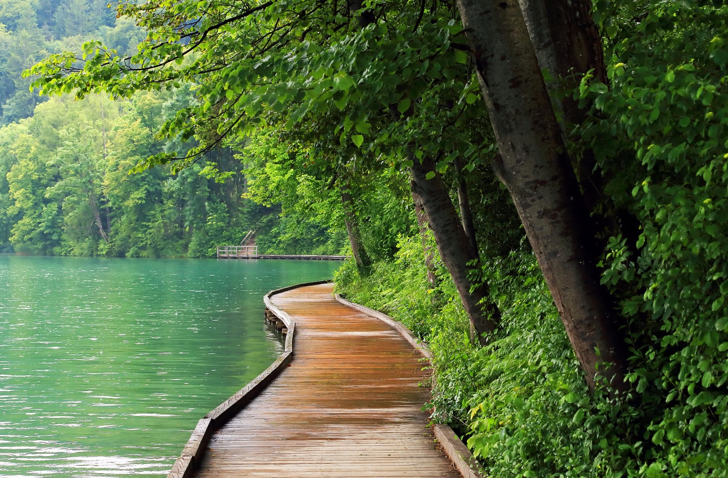 Postojna Cave, Predjama Castle and Lake Bled Tour from Ljubljana