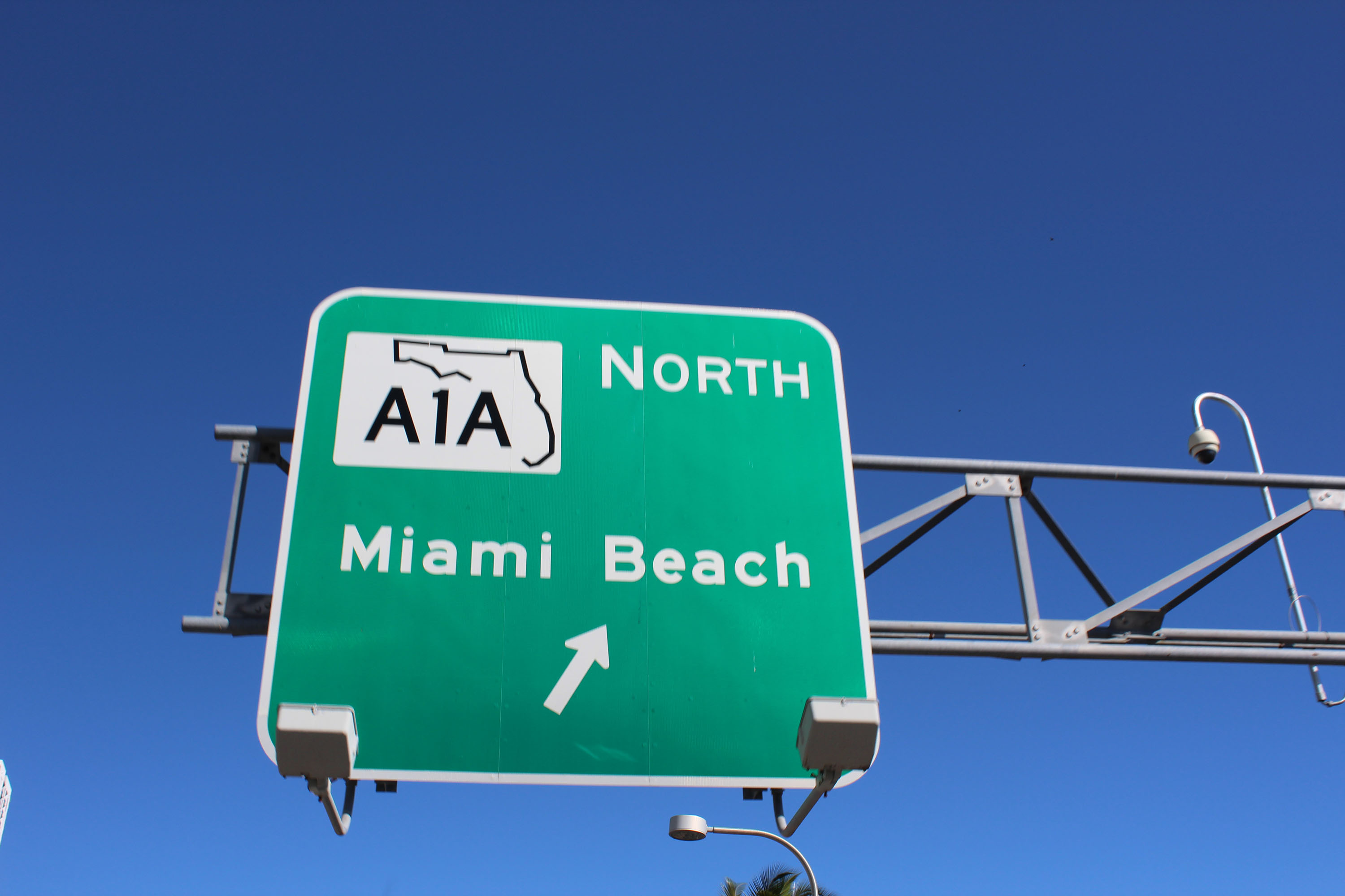 Miami Safari: All-in-1 Tour, Bus, Boat and Walking Best Discovery