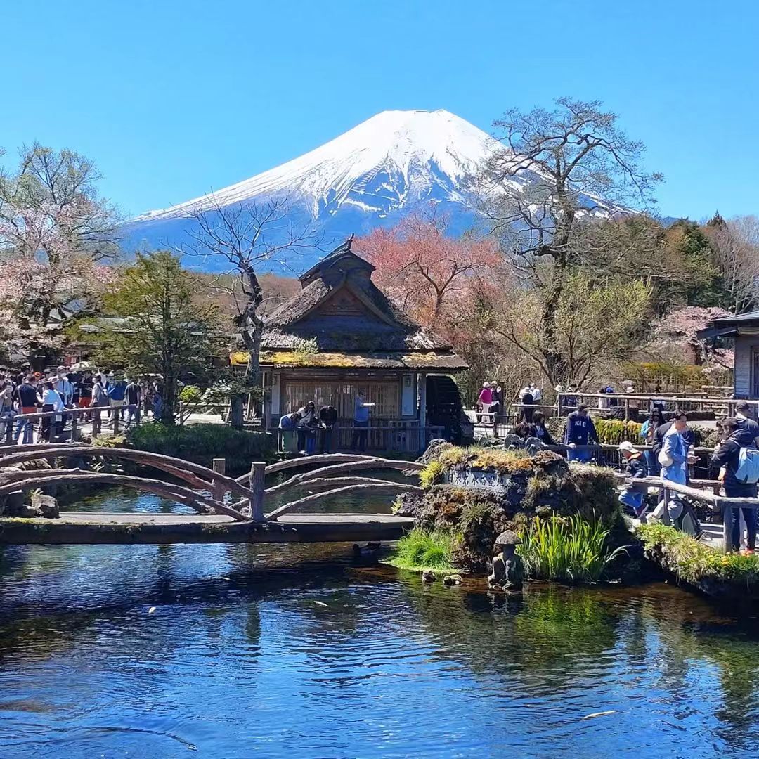 【富士山三湖打卡遊】河口湖&山中湖&精進湖&羅森便利店 （東京出發）