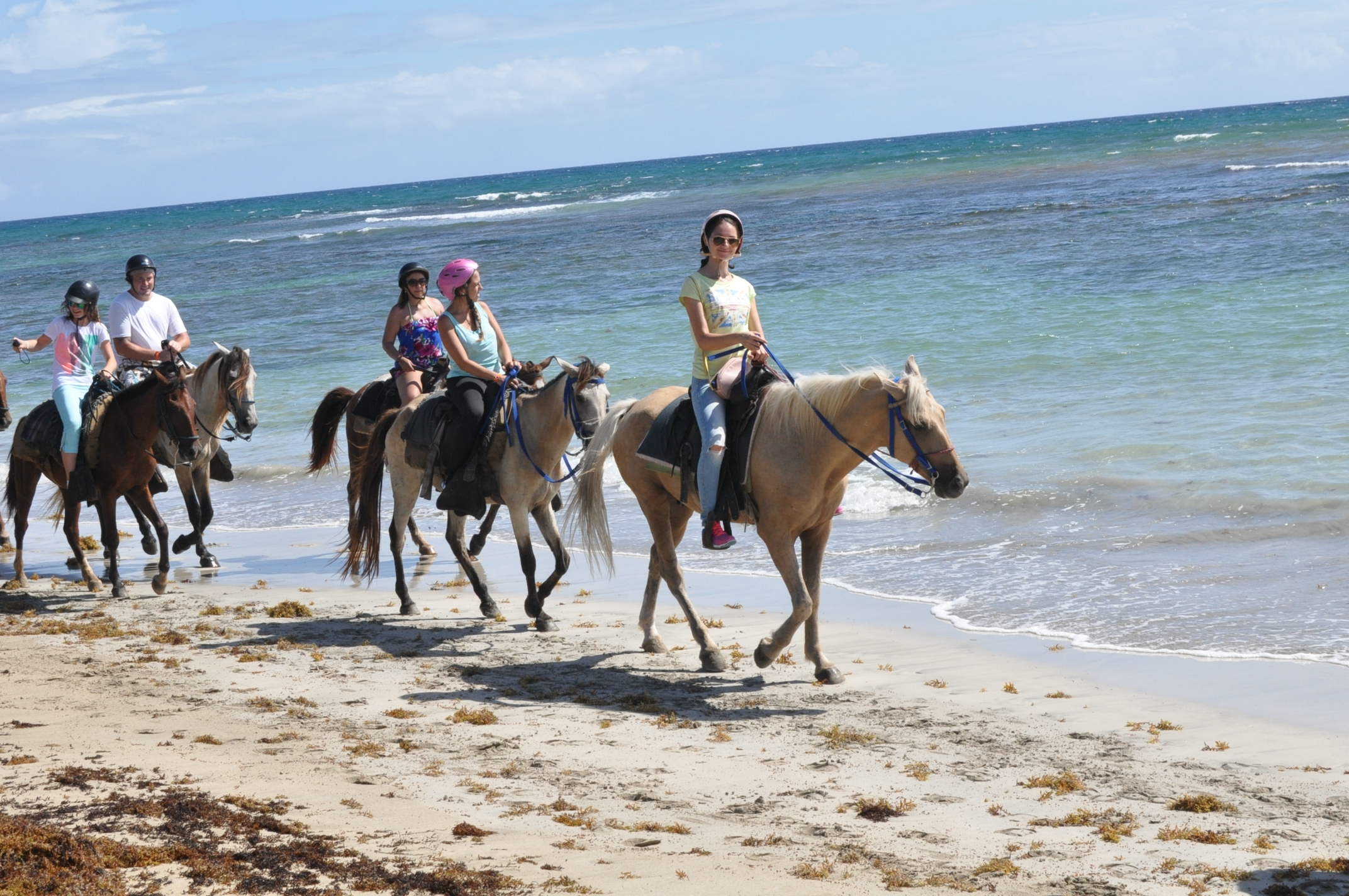 2-Hour Horseback Ride on the Beach