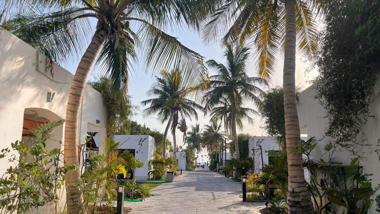 Day pass at la playa Beach