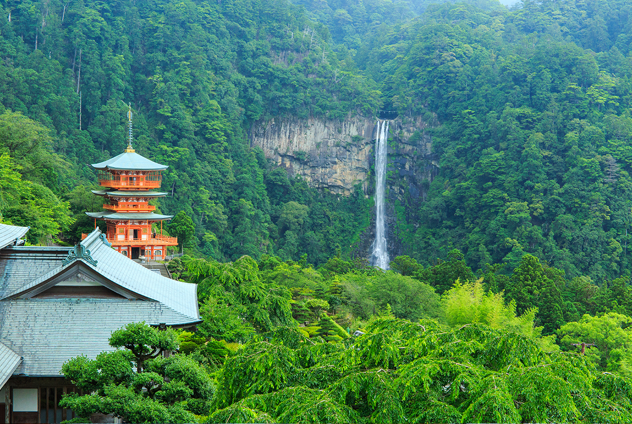 和歌山黑潮市場·白濱円月島·千畳敷·三段壁·潮岬·熊野古道·那智勝浦漁港二日遊｜大阪出發