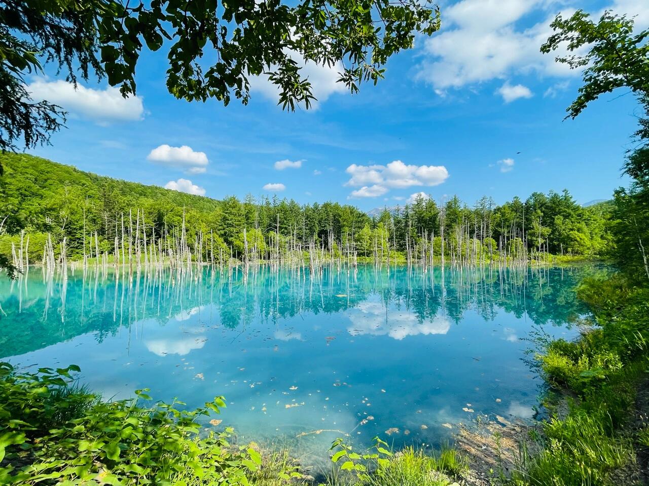 北海道觀景打卡精緻小團一日遊（可選擇含午餐&哈密瓜）