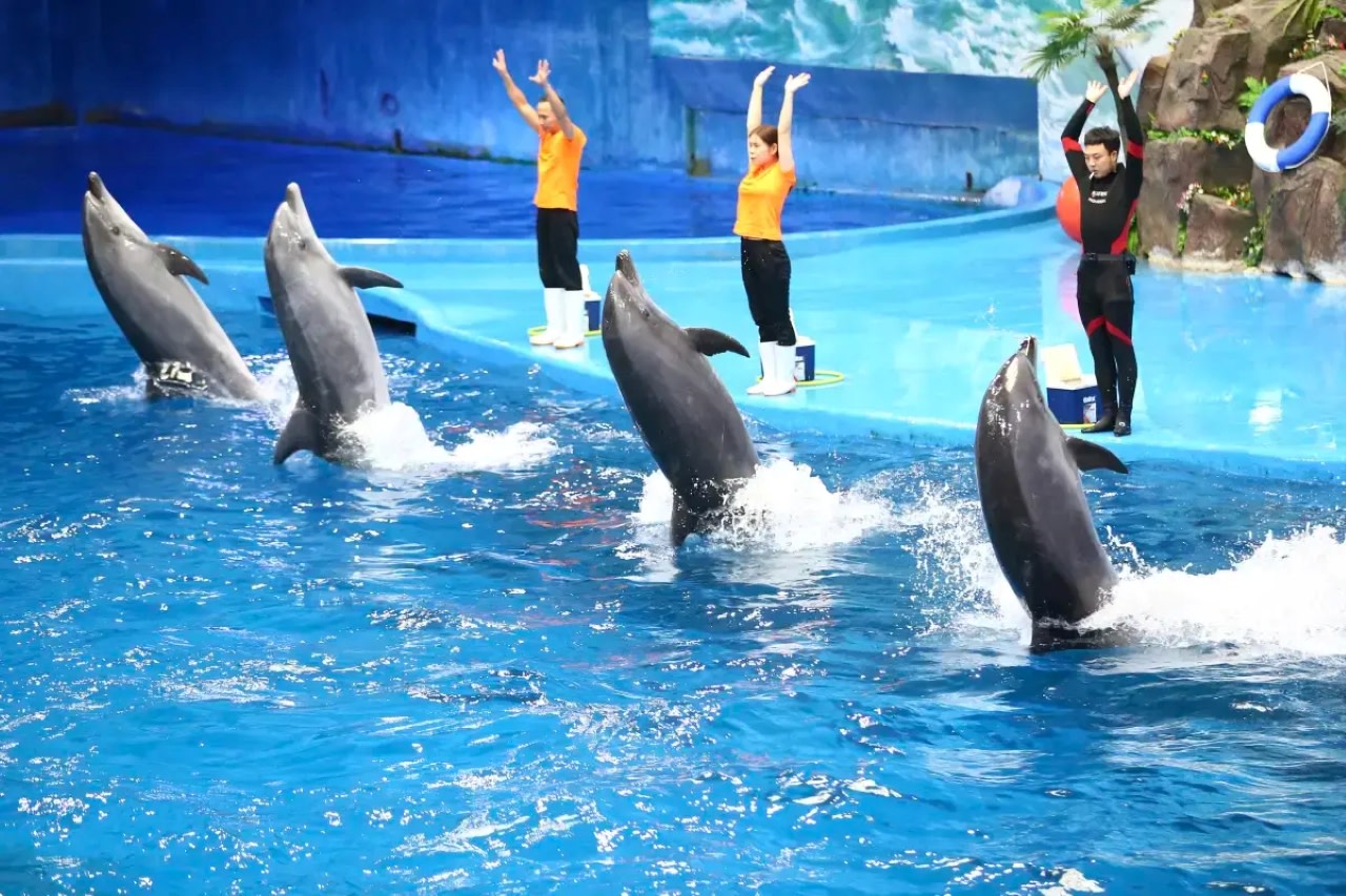 Guizhou Polar Ocean World