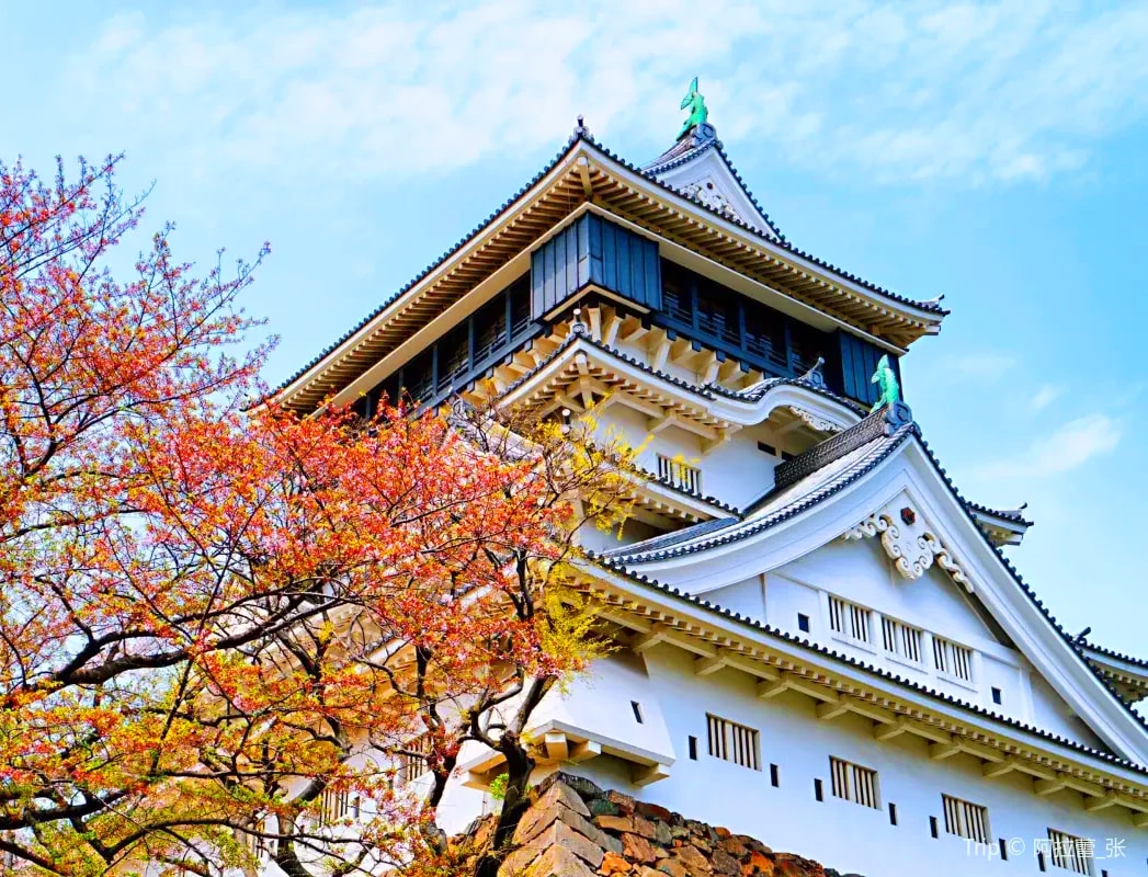 北九州經典一日遊｜元乃隅神社123座鳥居・小倉城庭園・門司港復古建築｜唐戶市場自由午餐｜赤間神宮硃紅鳥居・關門大橋全景車覽
