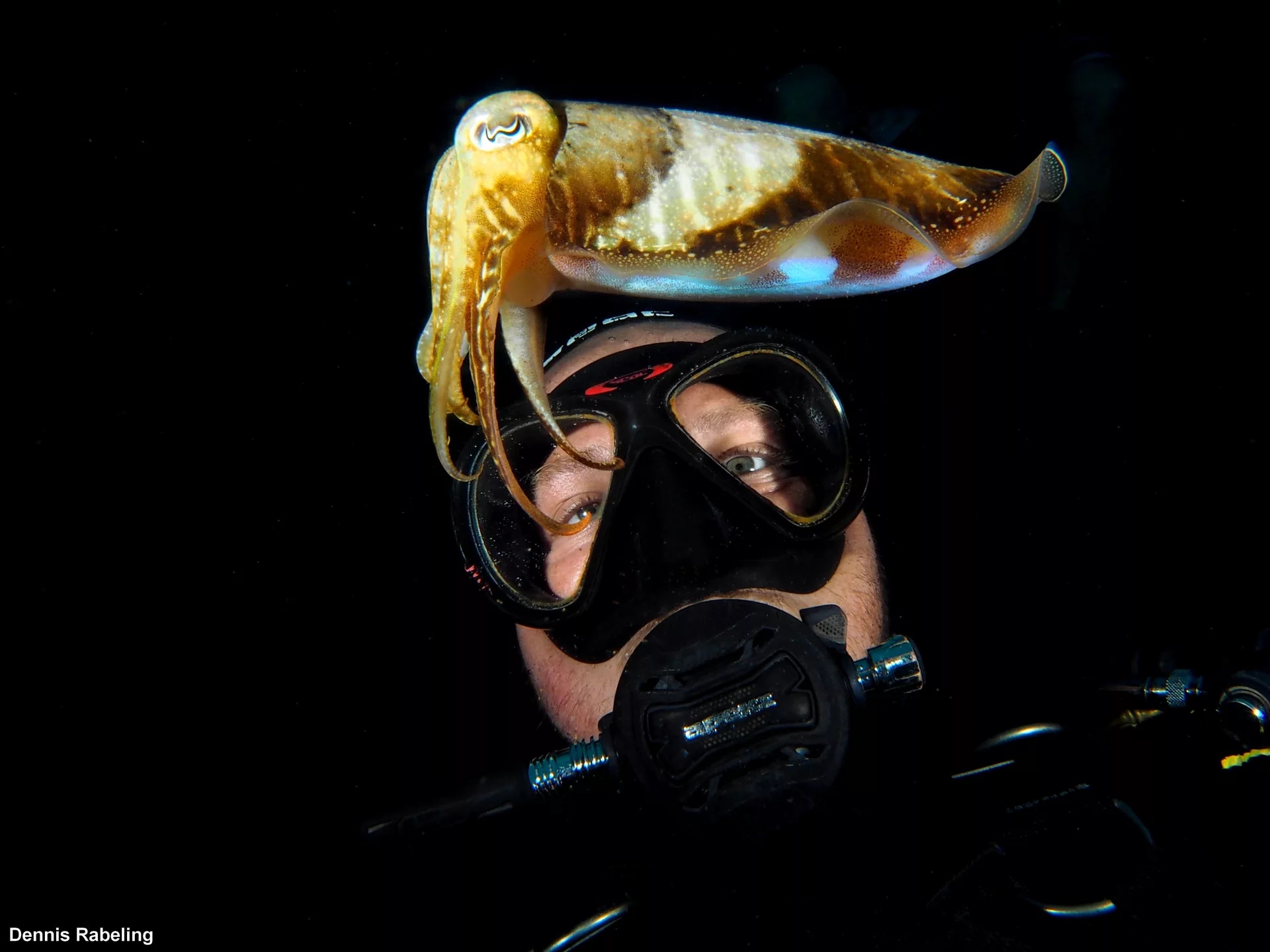 蘭薩羅特島的潛水進化：PADI 5* 潛水中心的高級課程