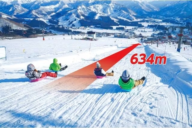 Iwappara /Joetsu International Ski Resort Admission in Niigata