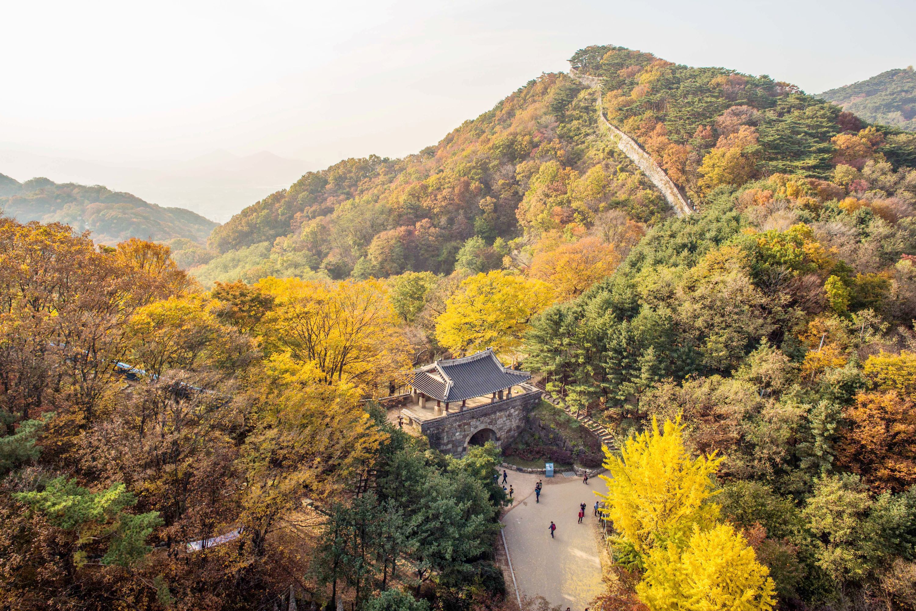 和談林植物園 & 南漢山城 & 民俗村一日遊