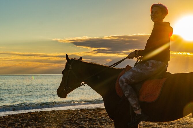 Alanya Private Horse Riding Tour On the Beach