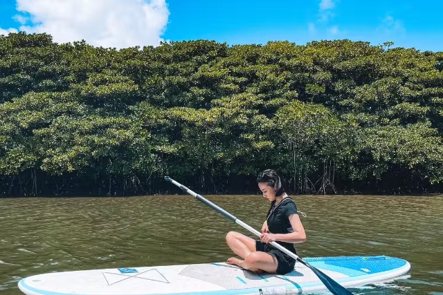 Miyara River kayaking experience (Ishigaki Island)