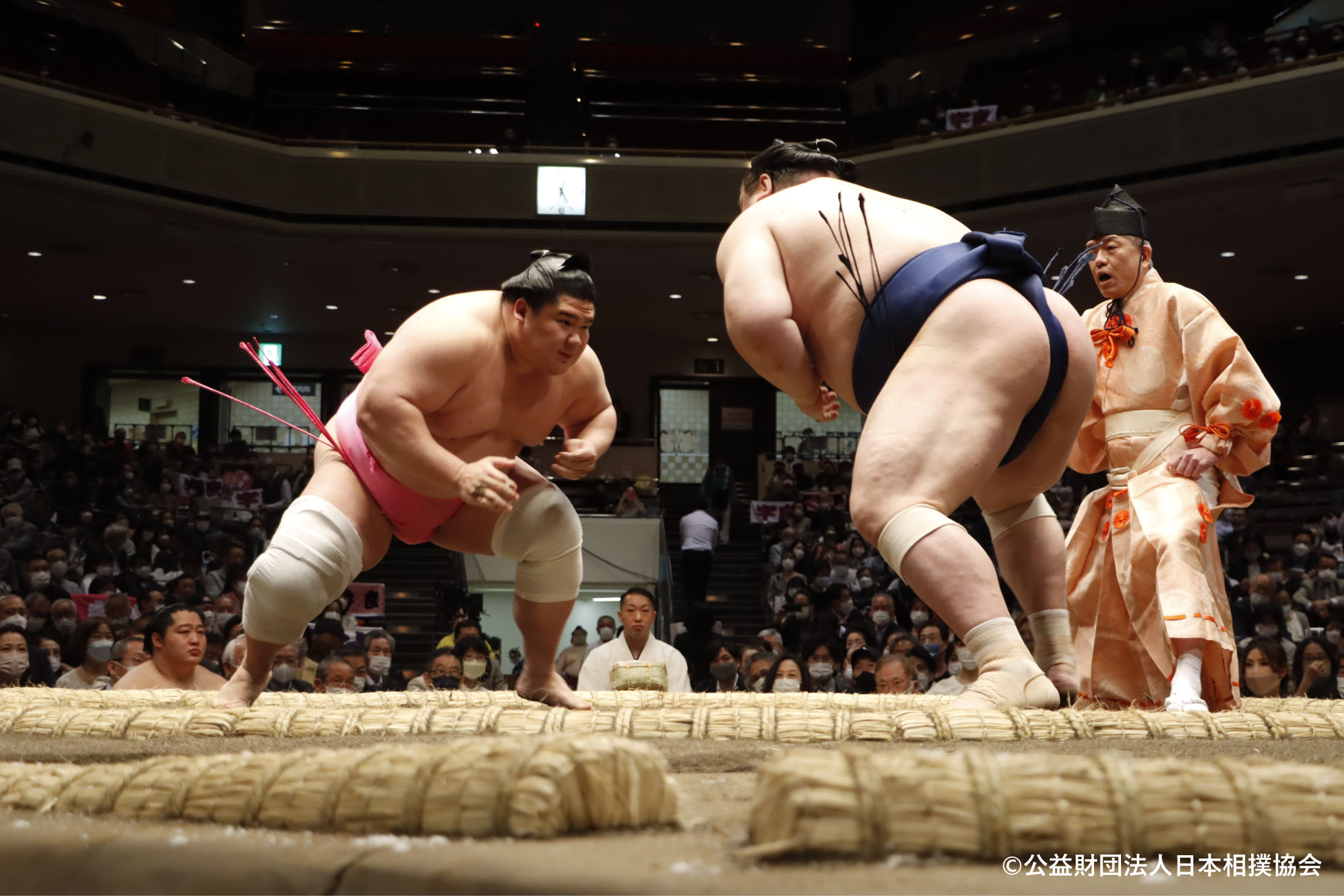 Tokyo City, Grand Sumo Tournament Tour with Sushi Making Experience