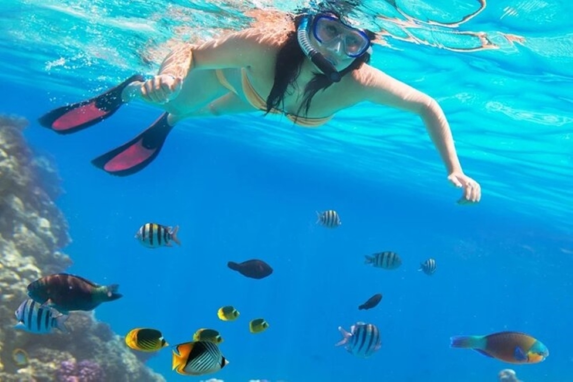 蒂朗島浮潛之旅(含午餐和接送) - 埃及沙姆沙伊赫 蒂朗島浮潛之旅(含午餐和接送) - 埃及沙姆沙伊赫
