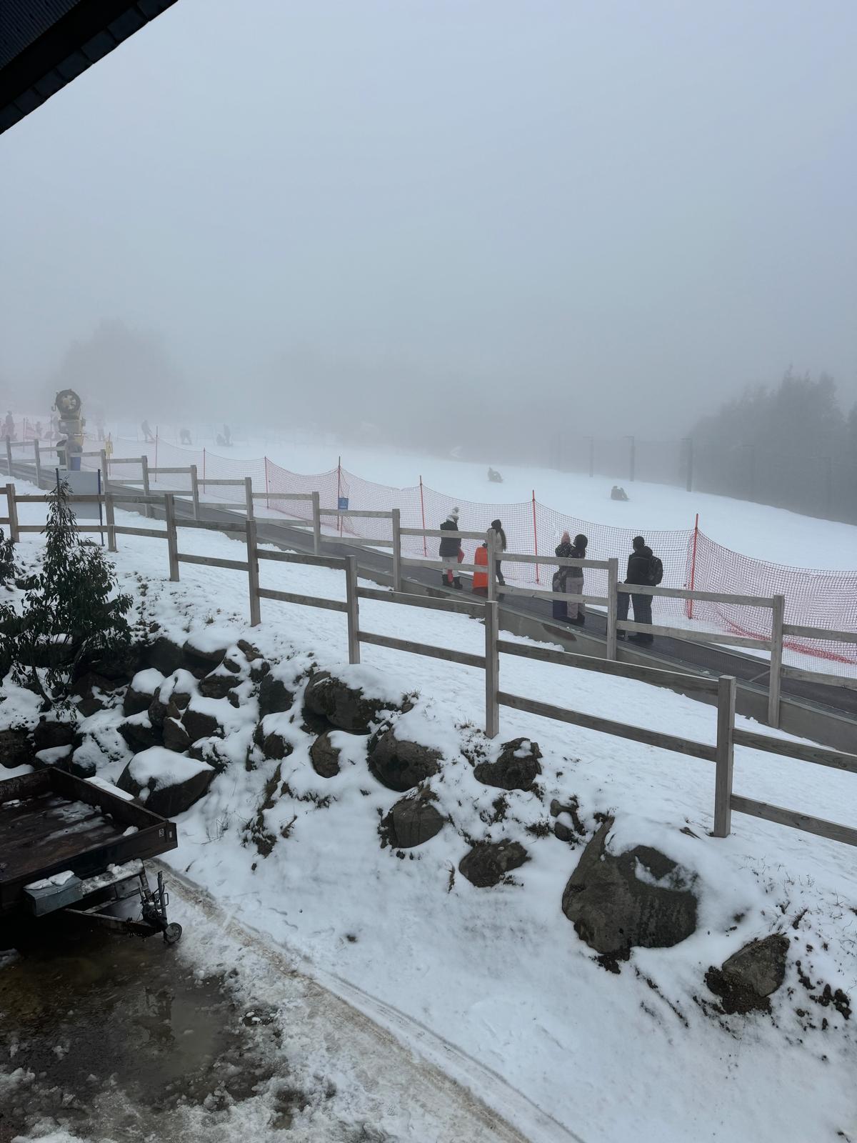 墨爾本出發 - 雪山湖泊一日遊