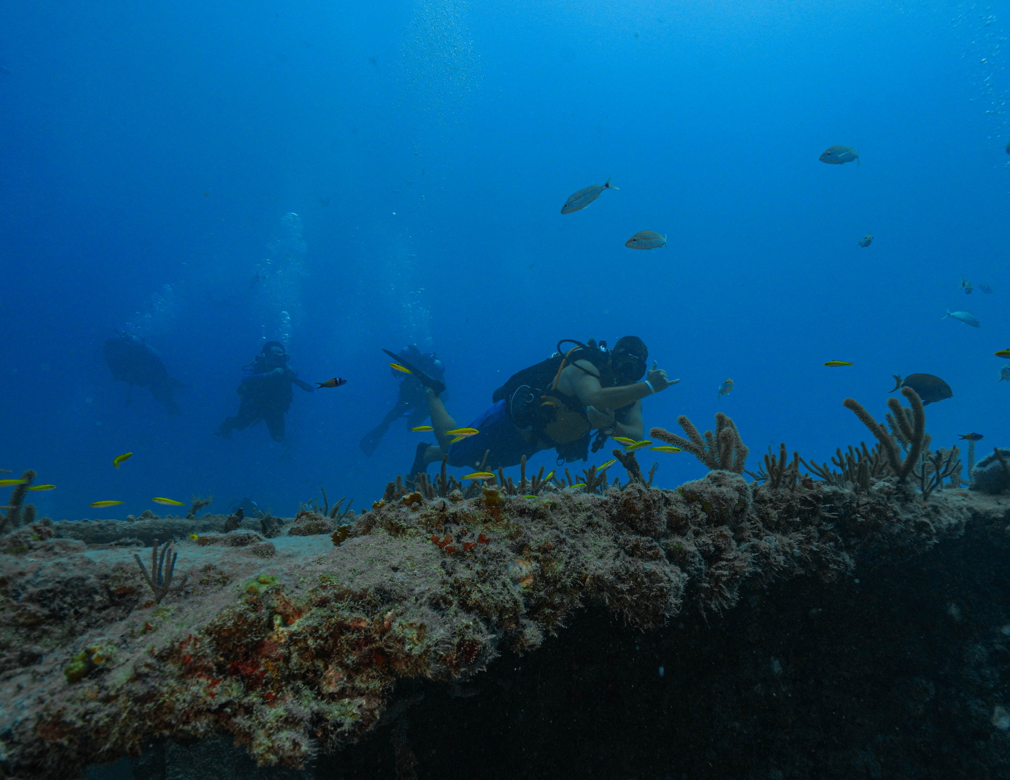 Explore More: Nitrox Course in Key Biscayne with PADI 5* Dive Center