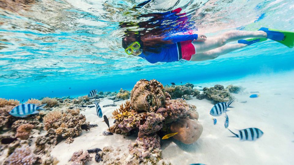 Marsa Alam: Hamata Islands Snorkeling Trip with Lunch
