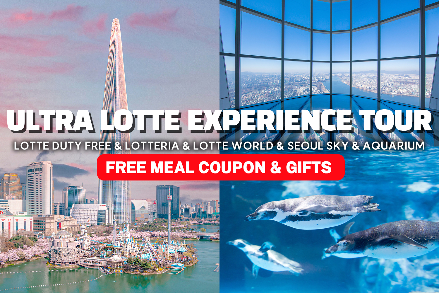 Ultra Lotte Experience Tour (Lotte World/Seoul Sky/Lotte Aquarium)