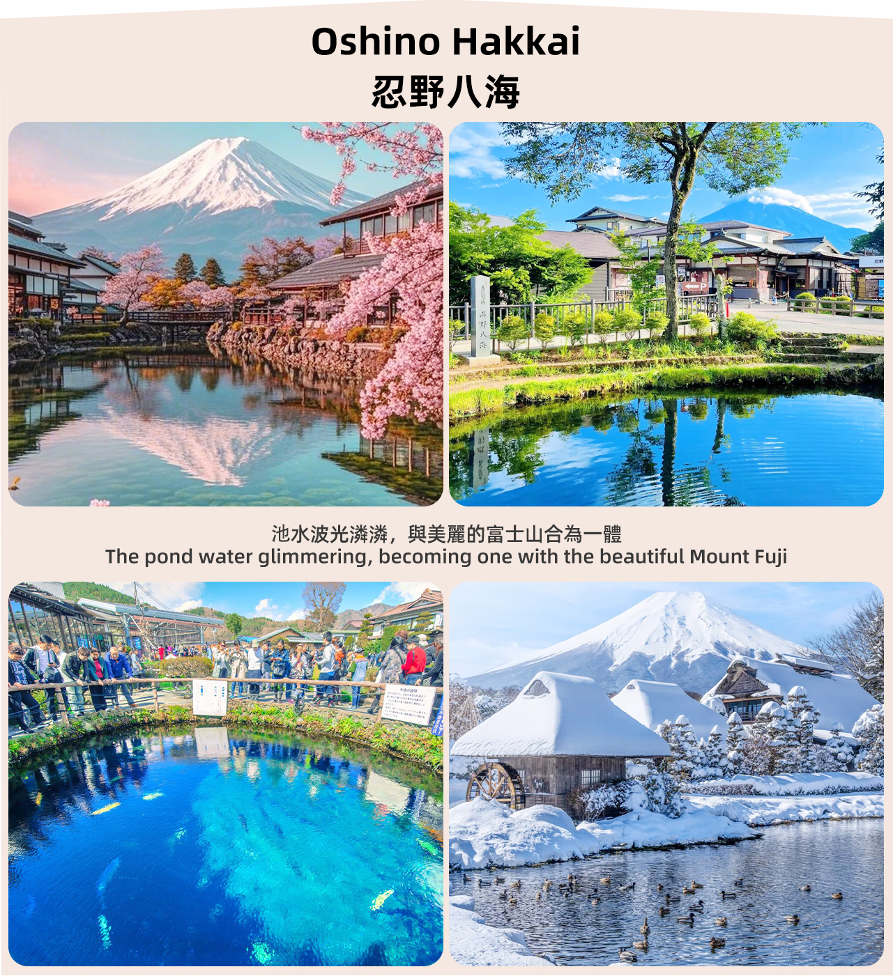 【富士山雙湖體驗遊】平野之濱&山中湖漫步/KABA水陸兩棲巴士/山中湖天鵝湖號遊覽船&忍野八海&河口湖體驗一日遊（東京出發）