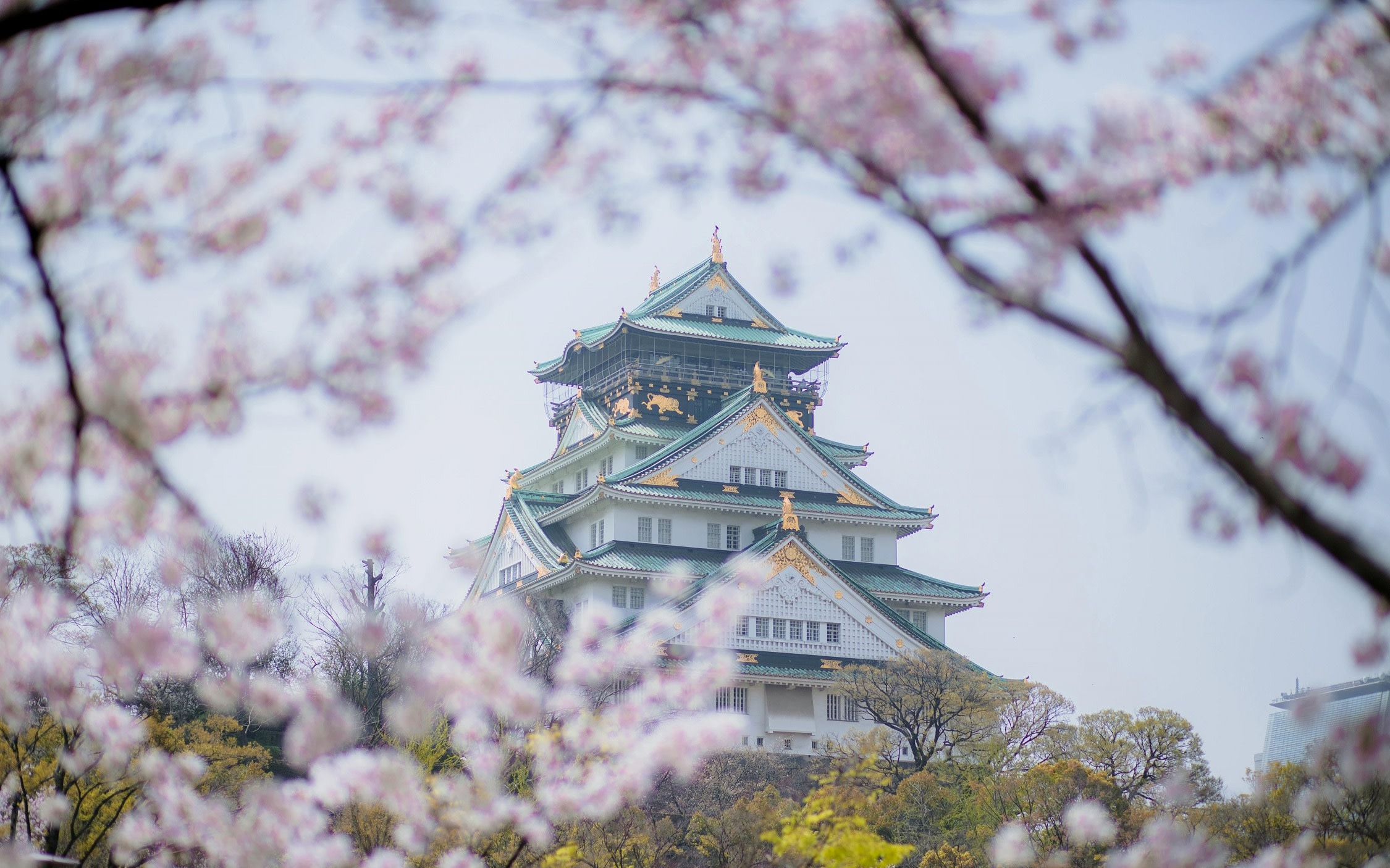 Osaka Castle 3 hours Historical Walking Tour
