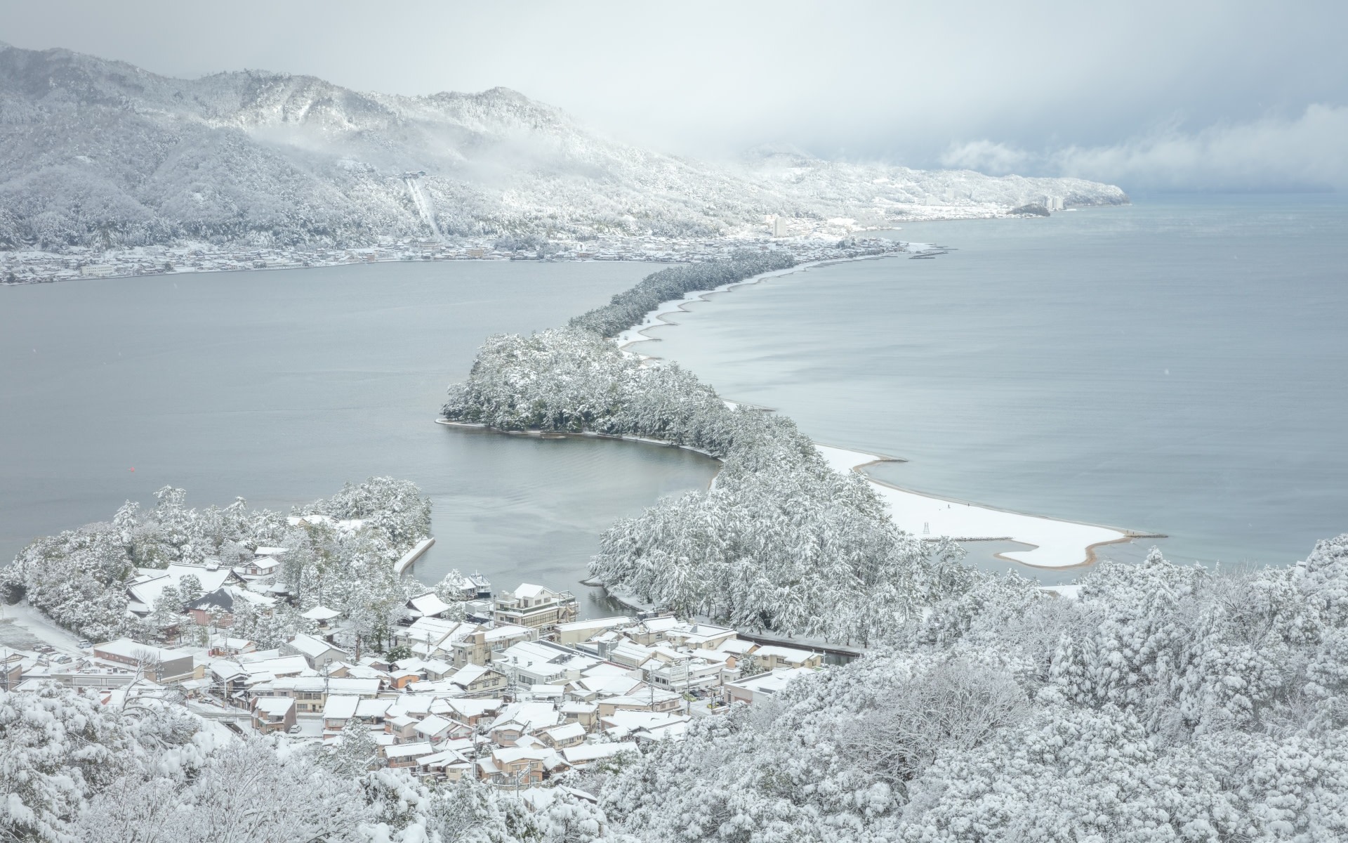 [Osaka or Kyoto Departure] Amanohashidate & Ine Boathouses & Ine Bay & Chion-ji Temple & Amanohashidate Abalone Set Meal Day Trip