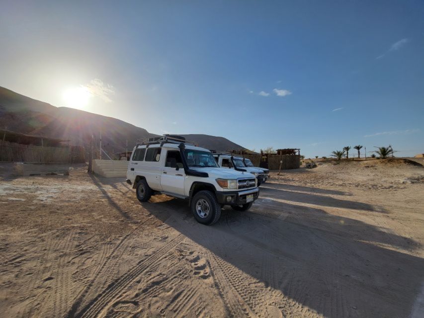 Sahl Hasheesh：四輪車、吉普車、越野車、駱駝（含晚餐和表演）