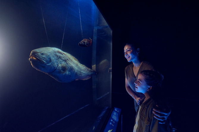 Ocean in Focus: Into the Abyss