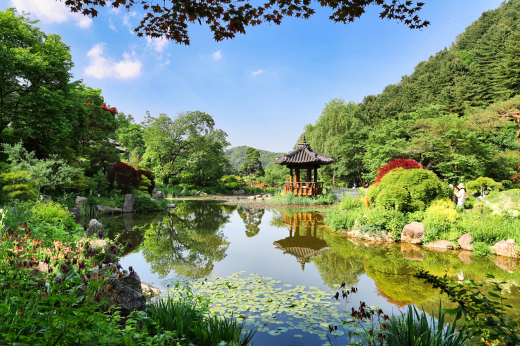 羊駝世界 & 南怡島 & 江村鐵路自行車 & 小法國村 & 樂高樂園