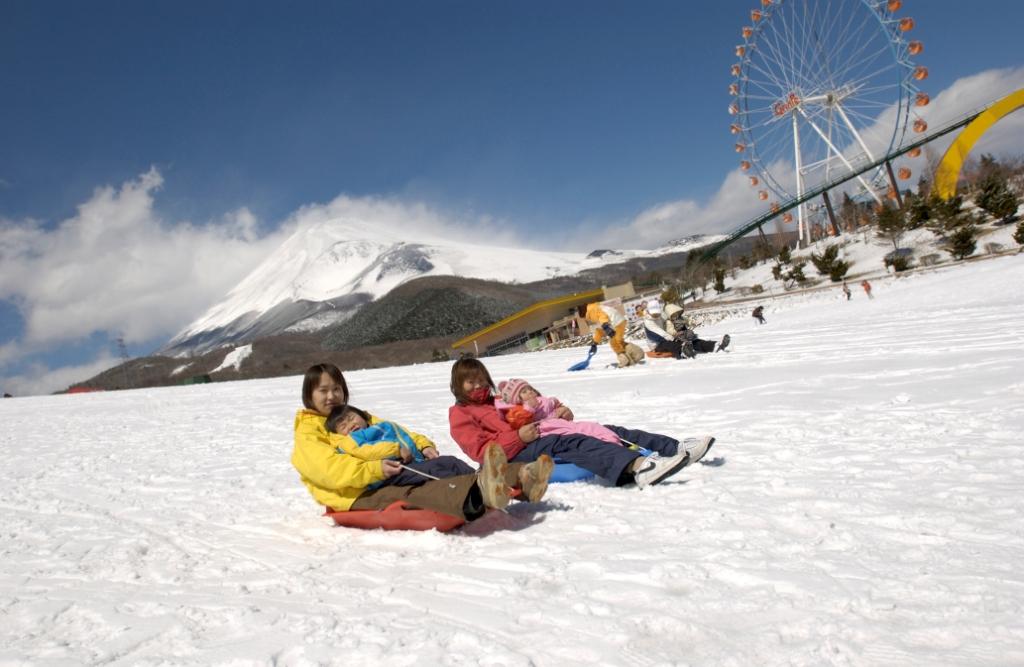 Arakurayama Sengen Park & Outlets & Owakudani Ropeway & Hakone Pirate Ship Day Tour (Depart from Tokyo)