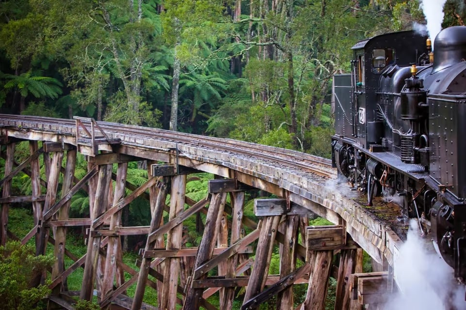 從墨爾本出發的普芬比利蒸汽火車 (Puffing Billy Steam Train) 之旅