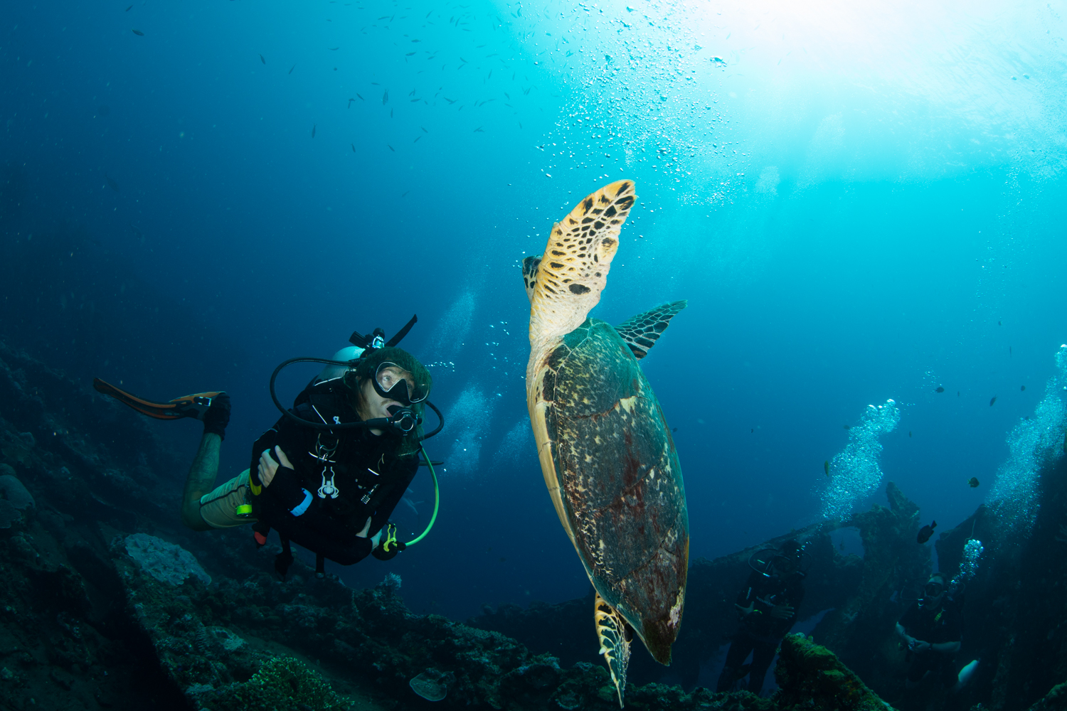 峇里島 PADI 五星潛水中心進階開放水域潛水員課程