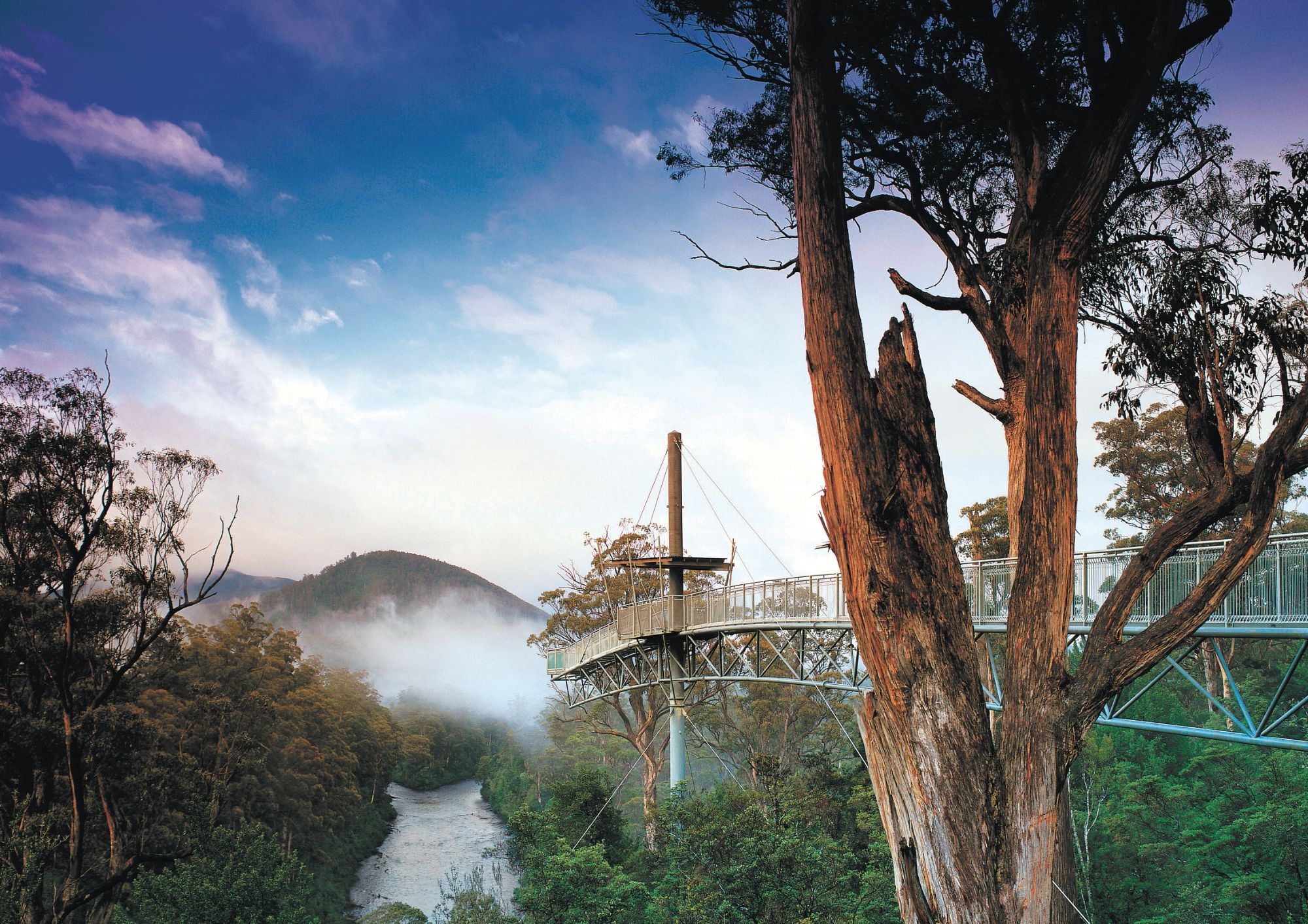 4 Day Bundle - Hobart, Port Arthur, Bruny, Hastings and Tahune