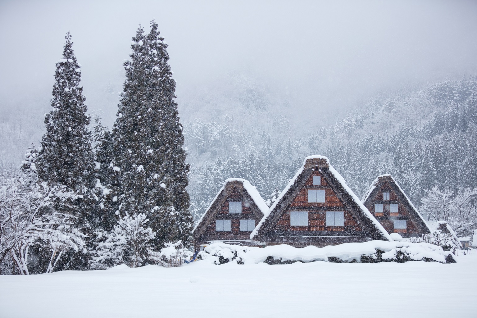 白川鄉 & 高山巴士之旅