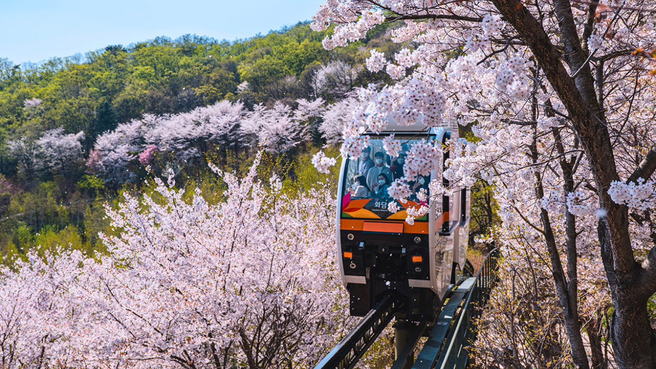 單軌列車之旅 – 沿著山坡滑行，輕鬆抵達上層花園，欣賞全景。（不包含在方案內）