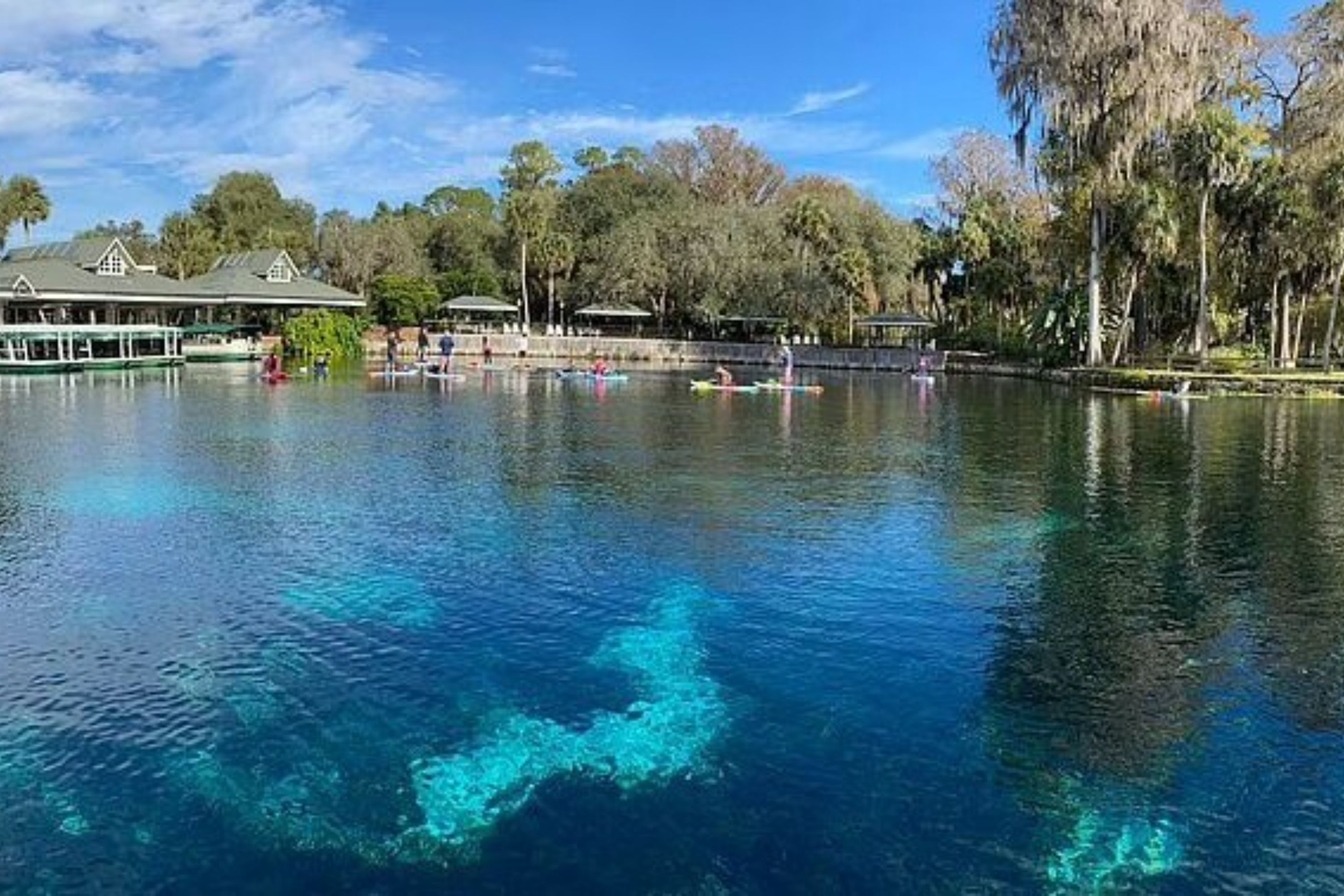 Dive into the diverse ecosystems hidden beneath the surface of the springs