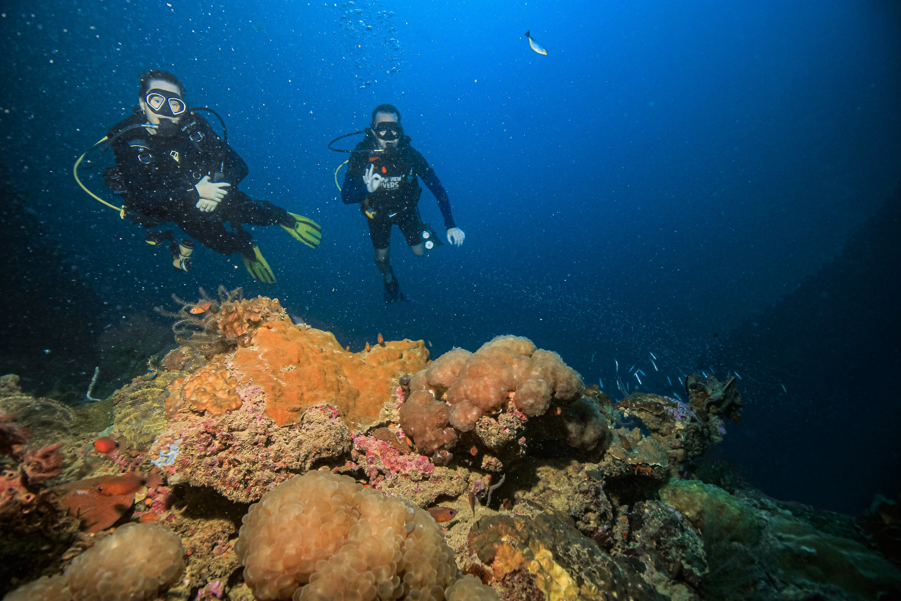 皮皮島 PADI 潛水課程