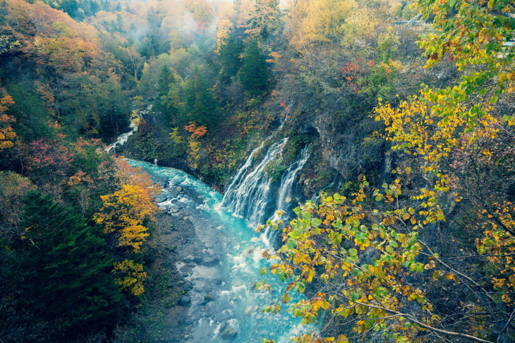 是美瑛最具代表性的自然奇觀之一。