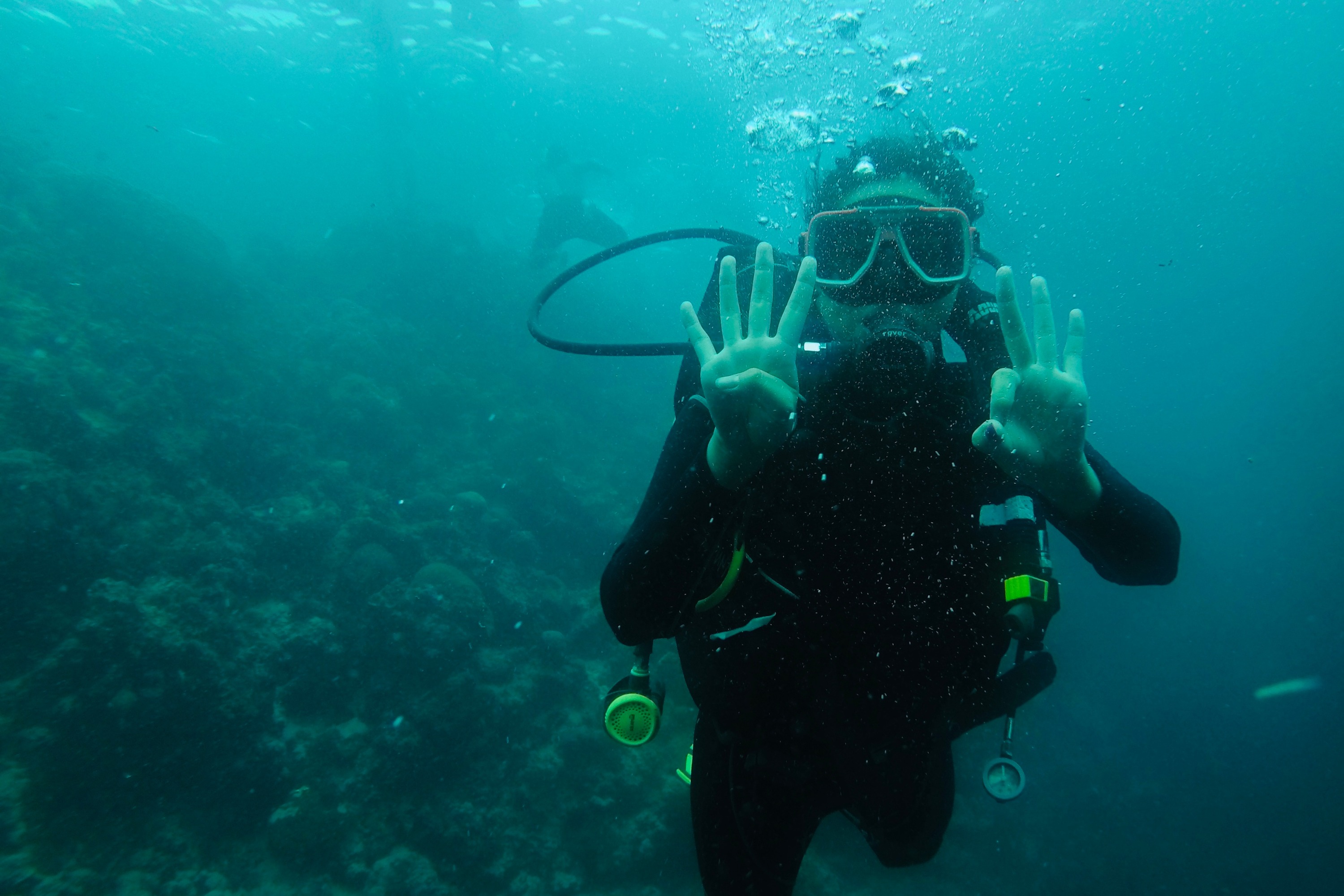 宿霧沙丁魚風暴潛水＆佩斯卡多爾島浮潛之旅