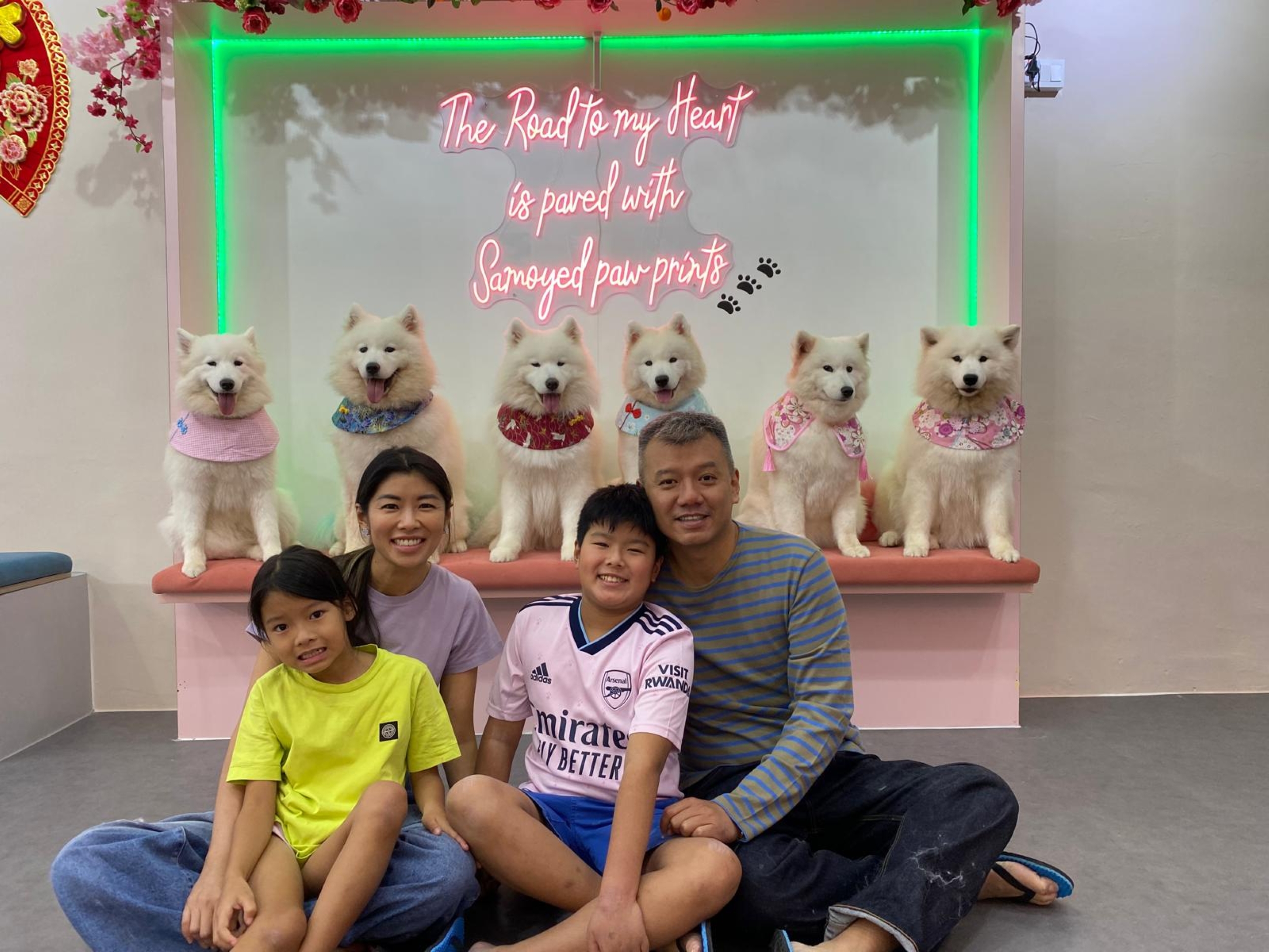 Cuddle with Fluffy Samoyeds (Dog Cafe) in Singapore 