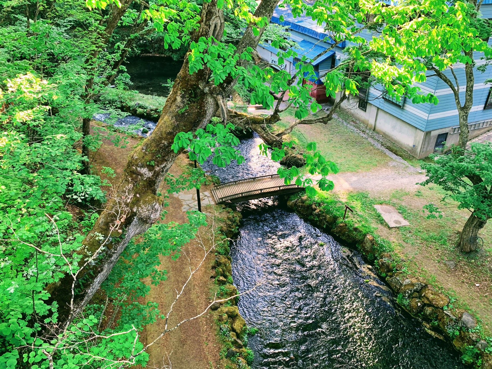 北海道芝櫻&鬱金香賞花一日遊: 二世谷&羊蹄山名水公園＆定山溪 (含午餐) - 札幌出發