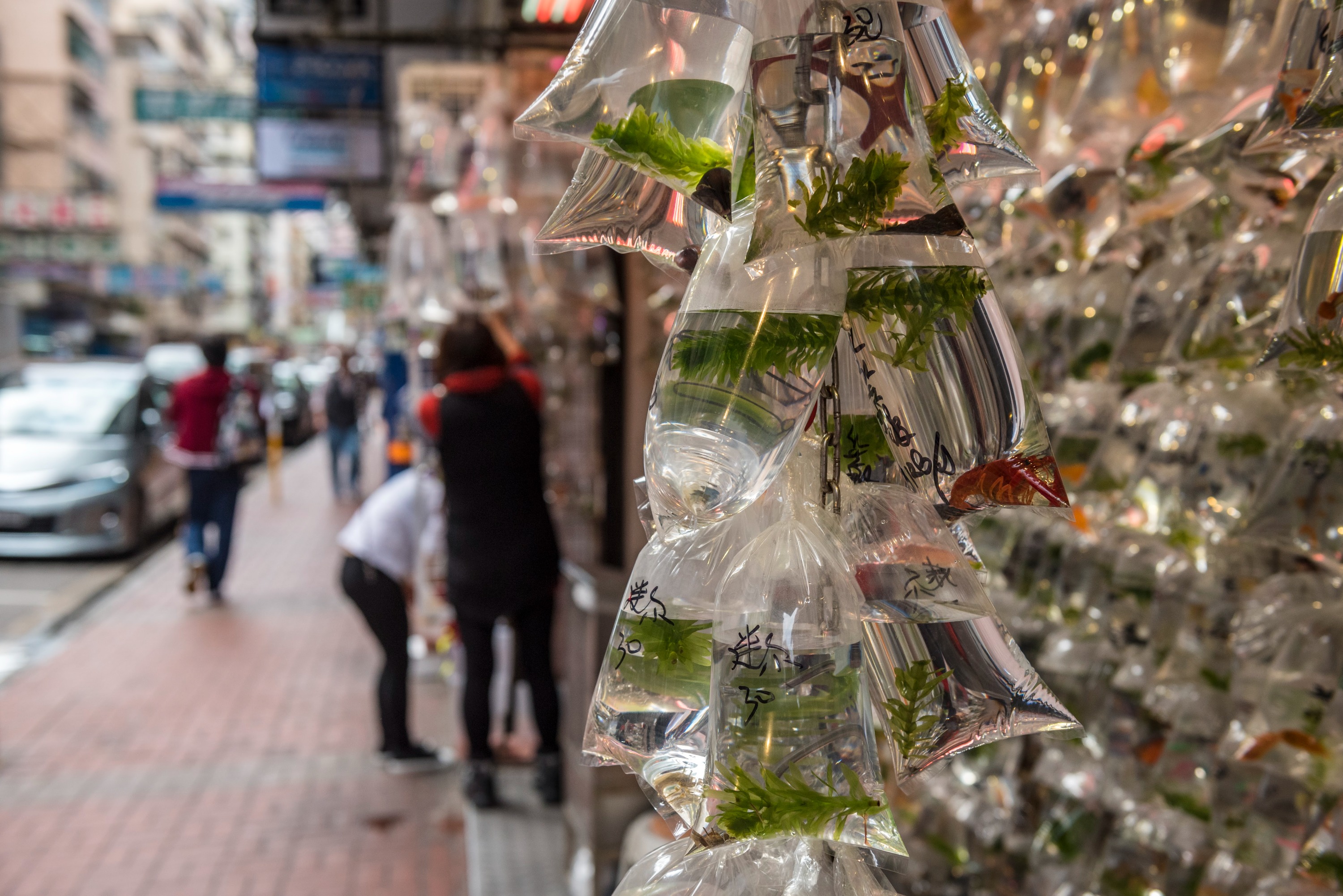 [Hong Kong Cultural In-depth Tour] Dark Side of Hong Kong