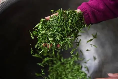 梅家塢炒茶：你可以跟隨當地茶農體驗採茶、炒茶的全過程，親手製作一捧新茶。在茶農家中品一杯明前龍井，感受那清香甘醇的滋味，或是漫步“十里琅璫”古道，俯瞰漫山遍野的翠綠茶園，盡享茶鄉慢生活。