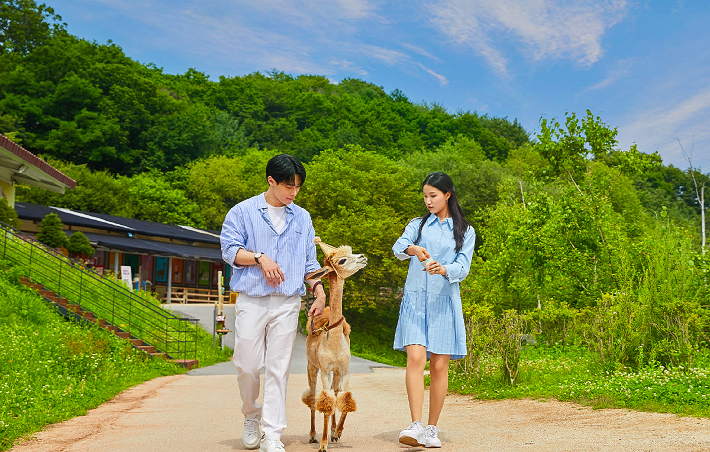 南怡島 / 韓服體驗 / 羊駝農場 / 鐵軌自行車 / 小法國村 / 早晨寧靜公園一日遊