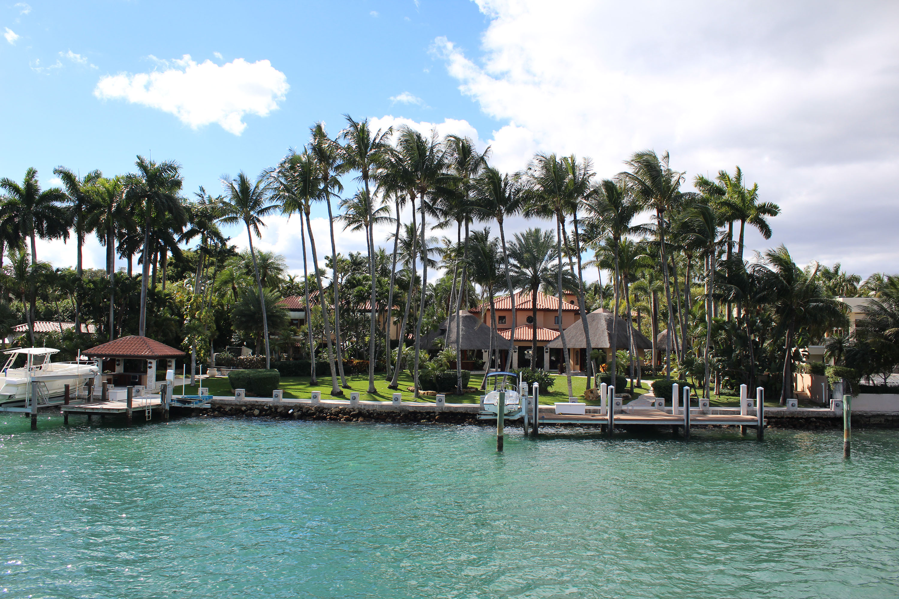 Miami Safari: All-in-1 Tour, Bus, Boat and Walking Best Discovery