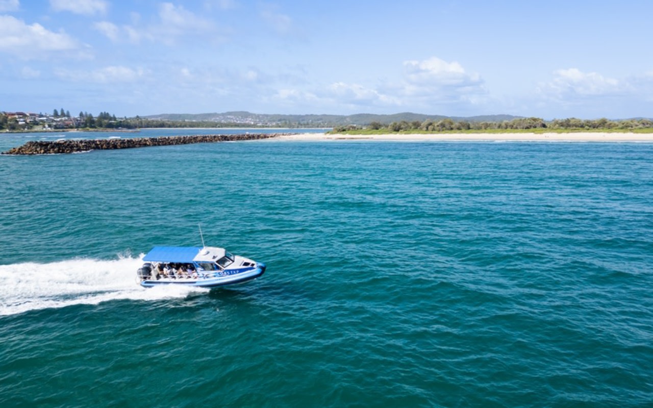 Lake Macquarie Sea Cave and Wildlife Discovery Tour