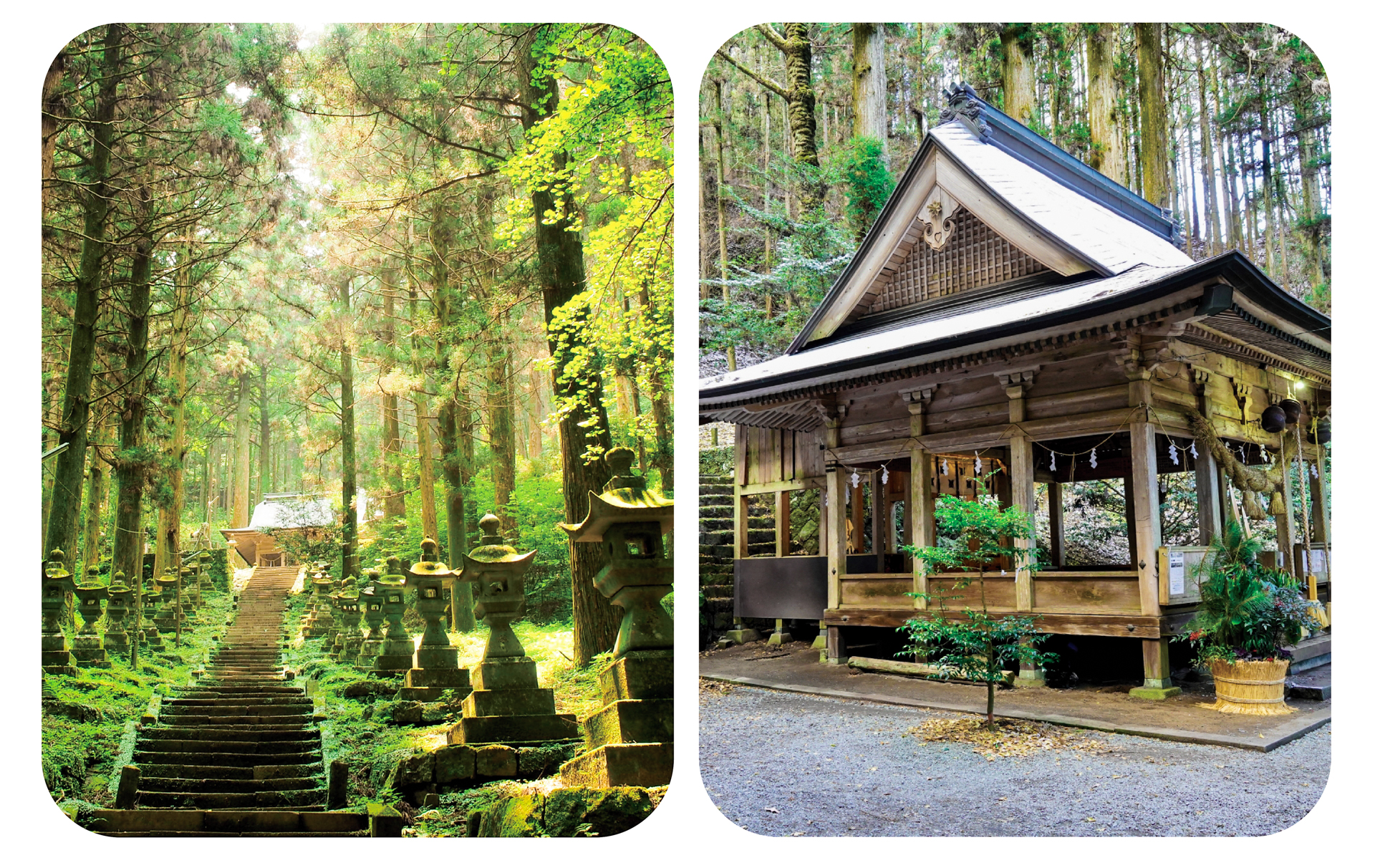 熊本城・草千里・阿蘇火山・上色見熊野座神社一日遊｜福岡出發（可熊本下車）