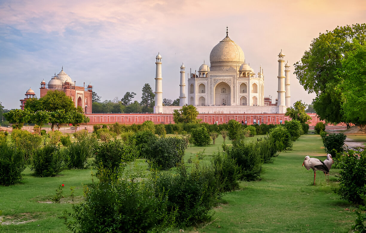 One Day Taj Mahal & Agra Private Tour from Delhi with More Options