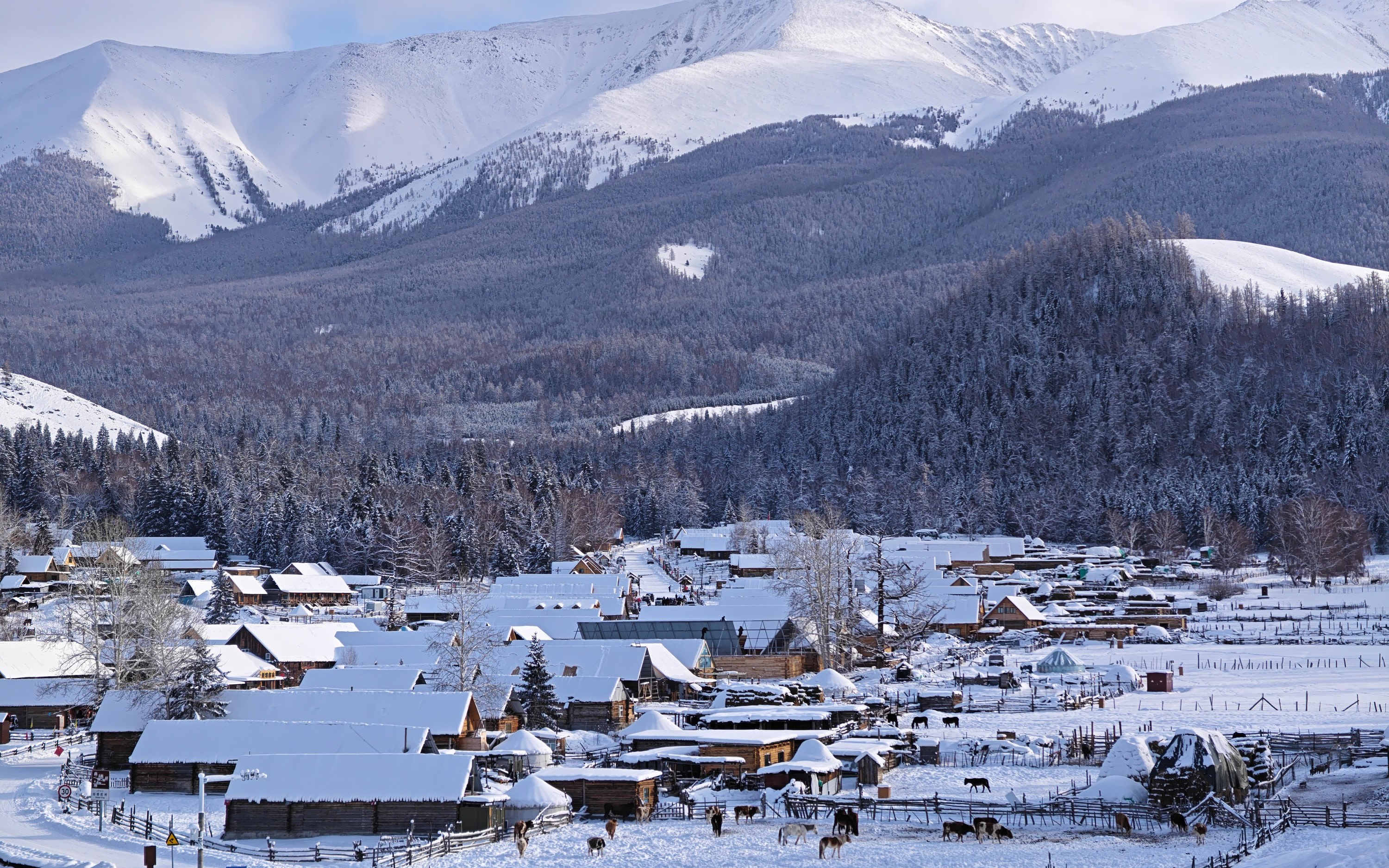 Winter Sonata | 9-Day Tour of Altay, Northern Xinjiang