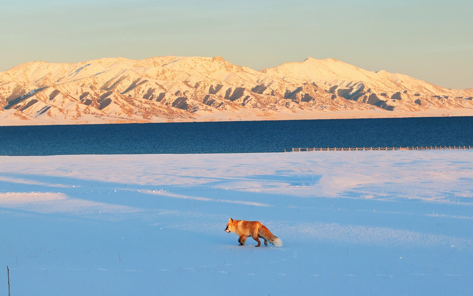 Snowy Yili 丨 Winter Xinjiang Yili 5 Days 4 Nights